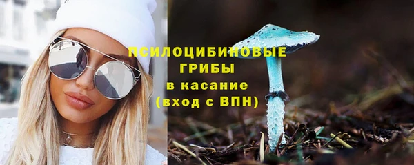 мяу мяу мука Балахна