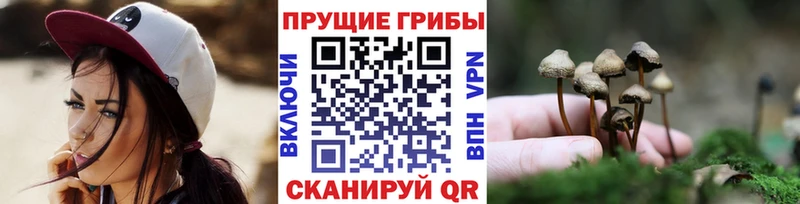 Галлюциногенные грибы GOLDEN TEACHER  что такое наркотик  сайты даркнета Telegram  Тосно 